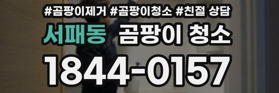 서패동 곰팡이 청소