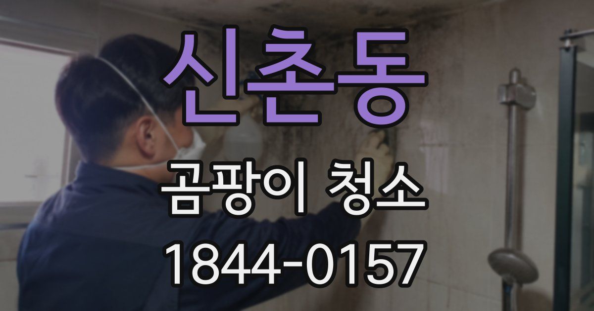 신촌동 곰팡이 청소