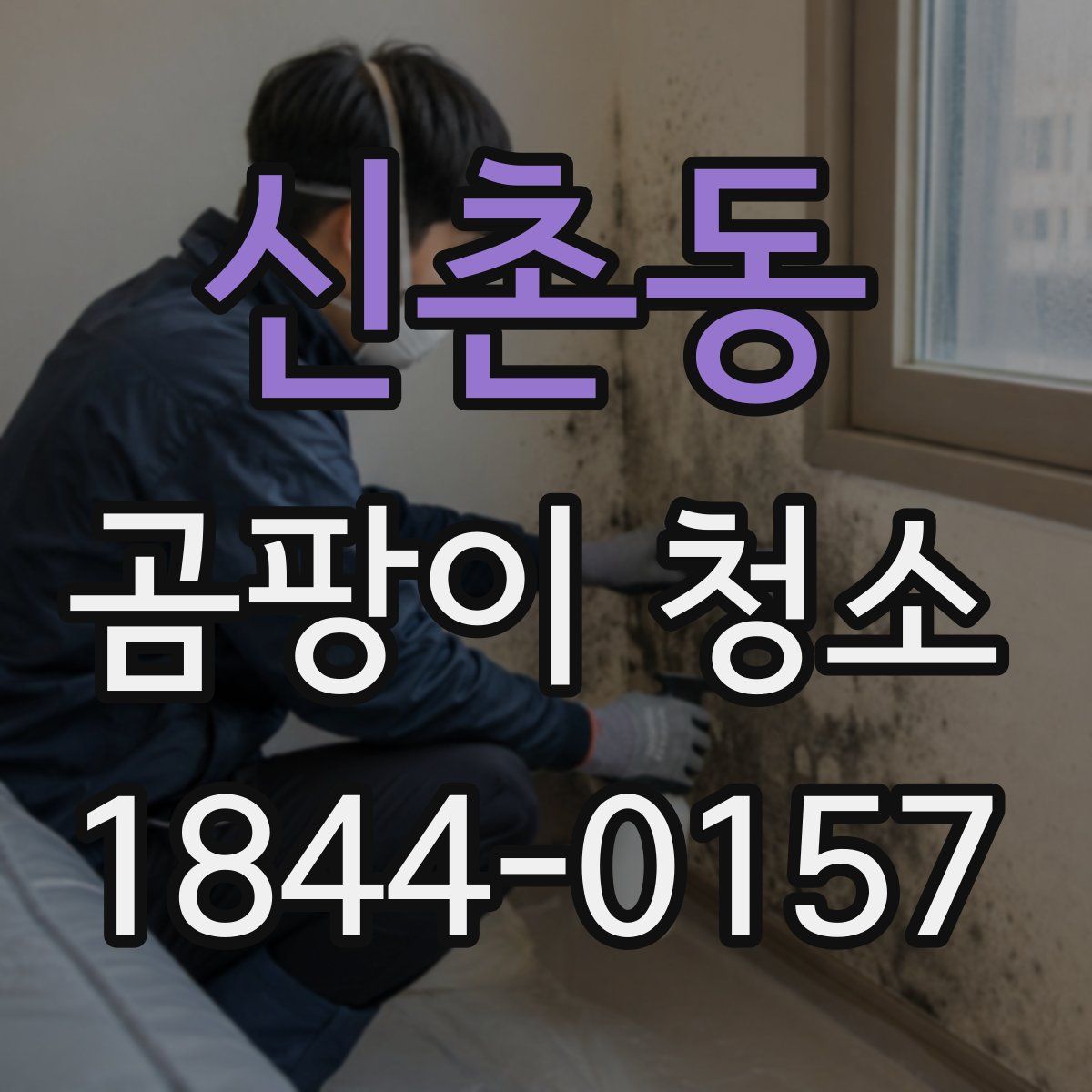 신촌동 곰팡이 청소