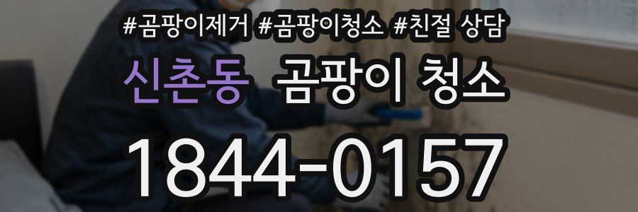 신촌동 곰팡이 청소