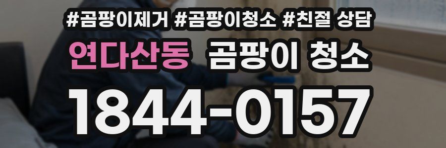 연다산동 곰팡이 청소
