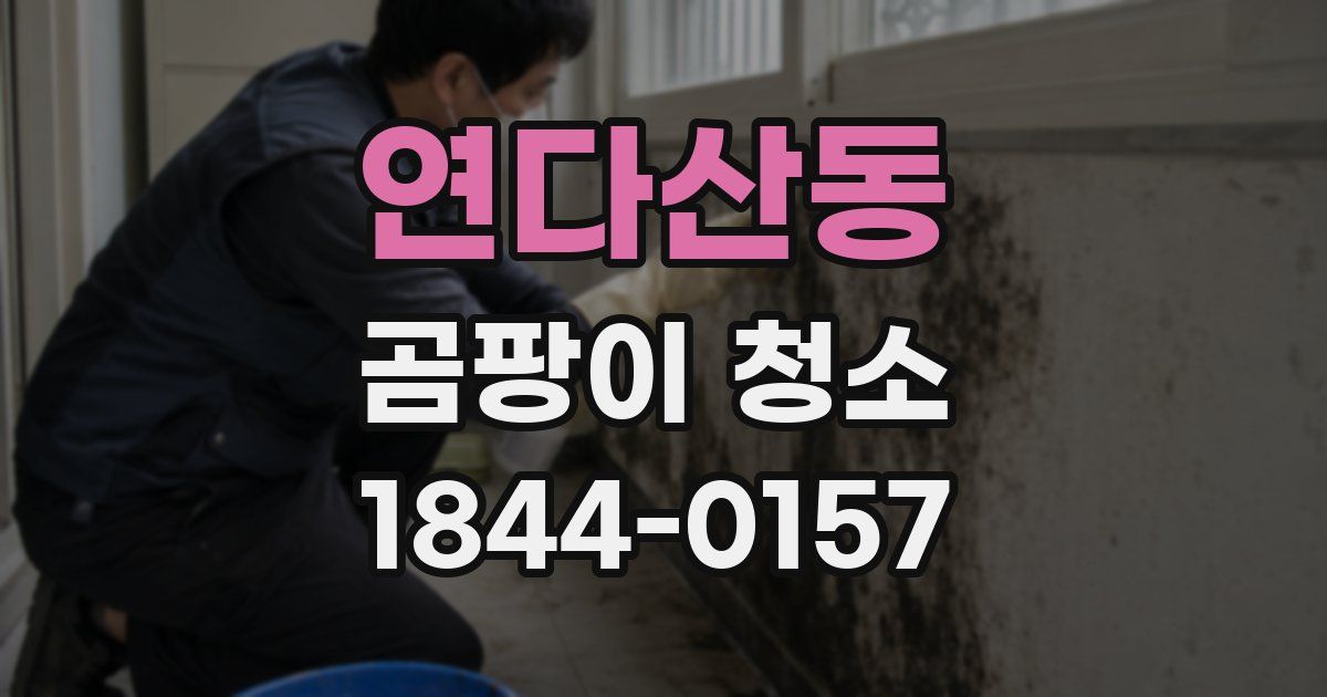 연다산동 곰팡이 청소