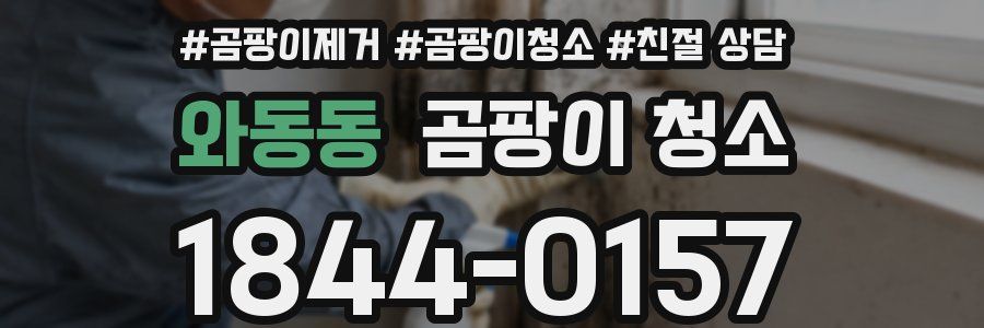 와동동 곰팡이 청소