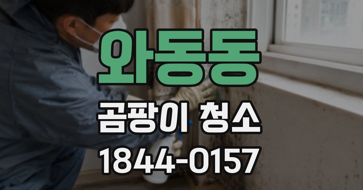 와동동 곰팡이 청소