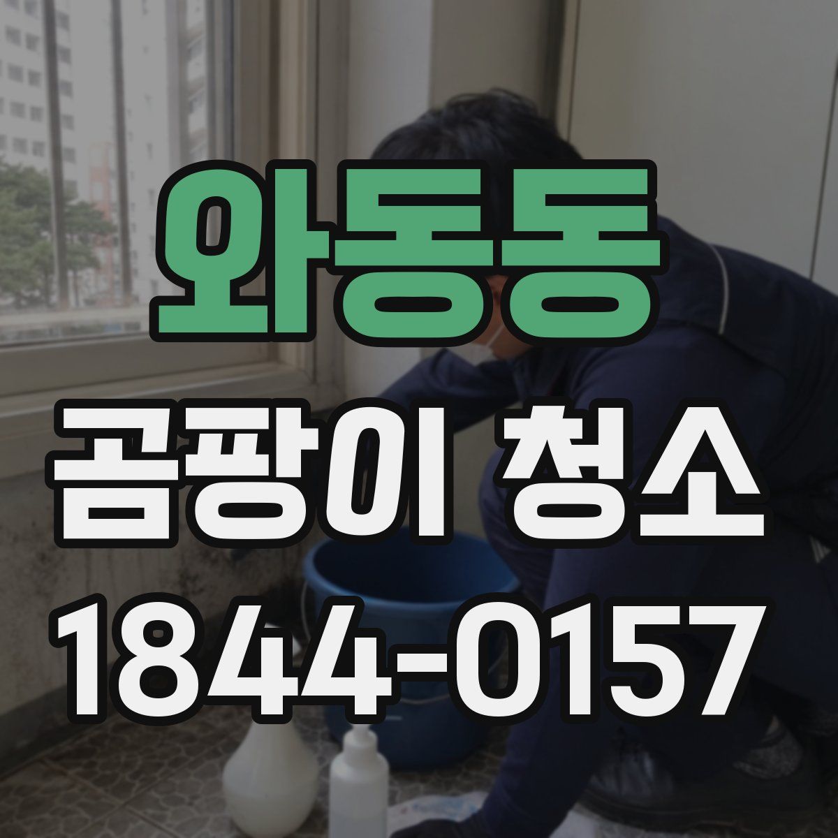 와동동 곰팡이 청소