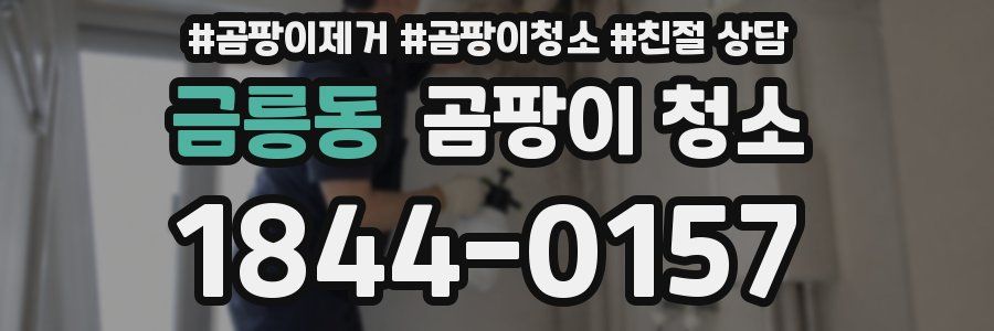 금릉동 곰팡이 청소