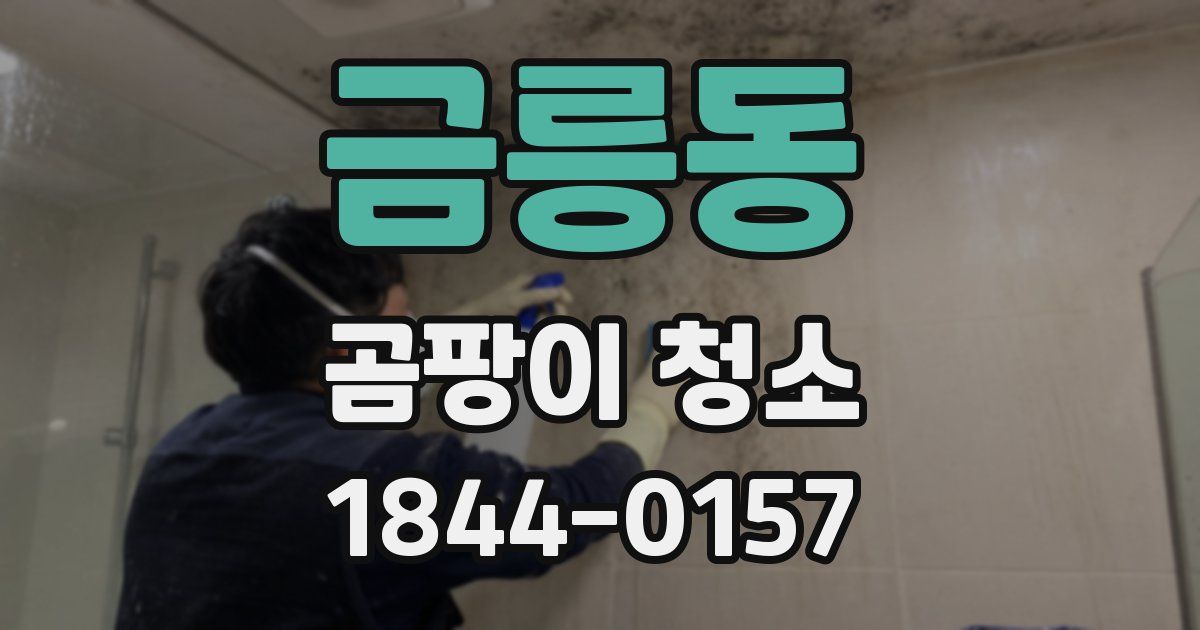 금릉동 곰팡이 청소