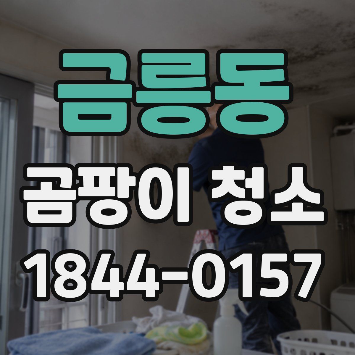 금릉동 곰팡이 청소