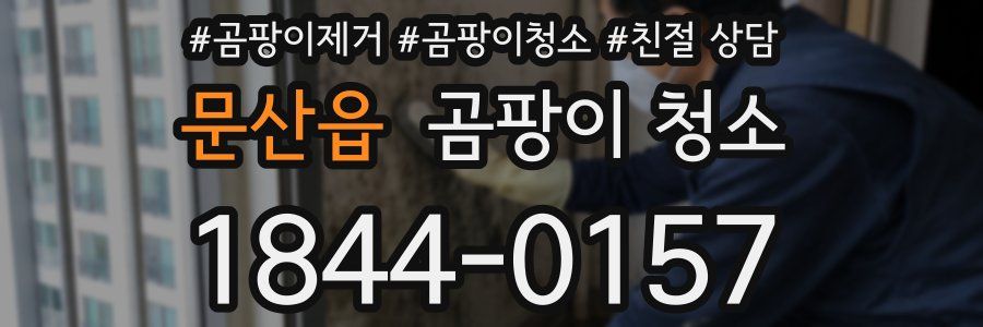문산읍 곰팡이 청소