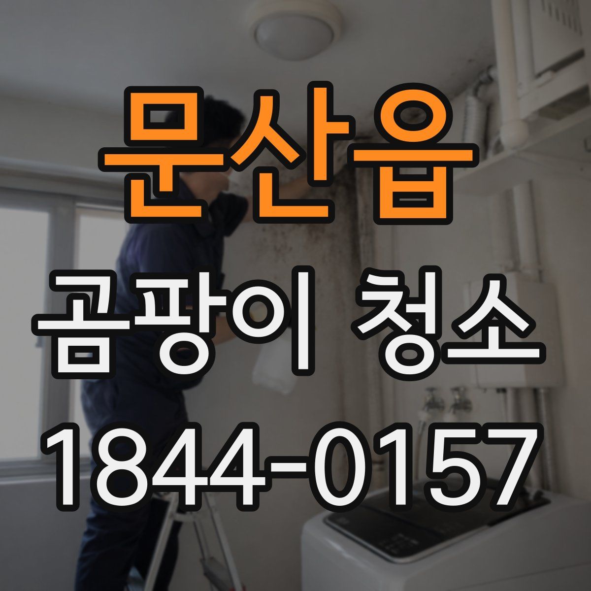 문산읍 곰팡이 청소