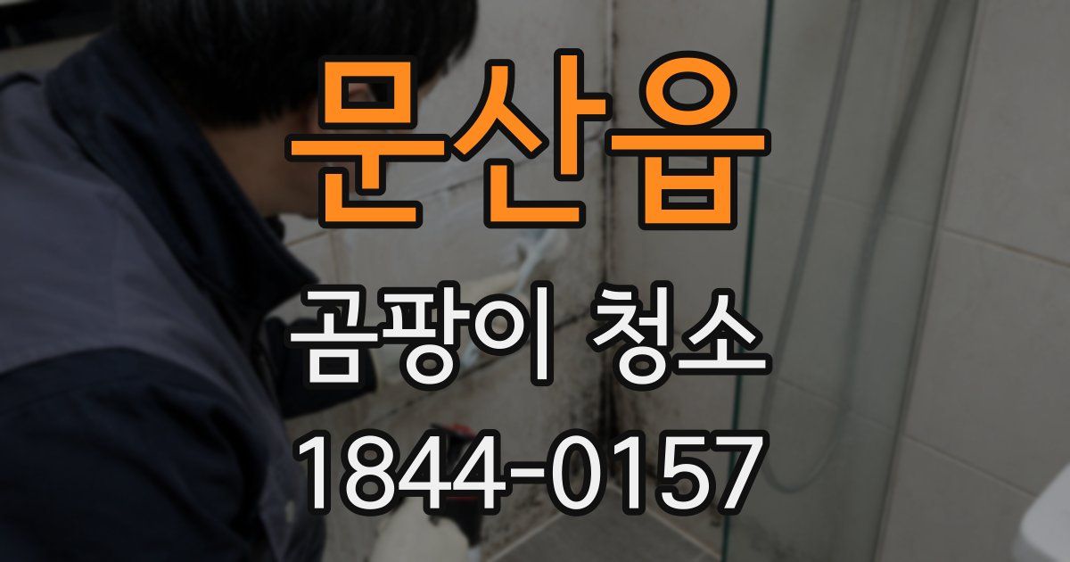 문산읍 곰팡이 청소