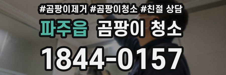 파주읍 곰팡이 청소