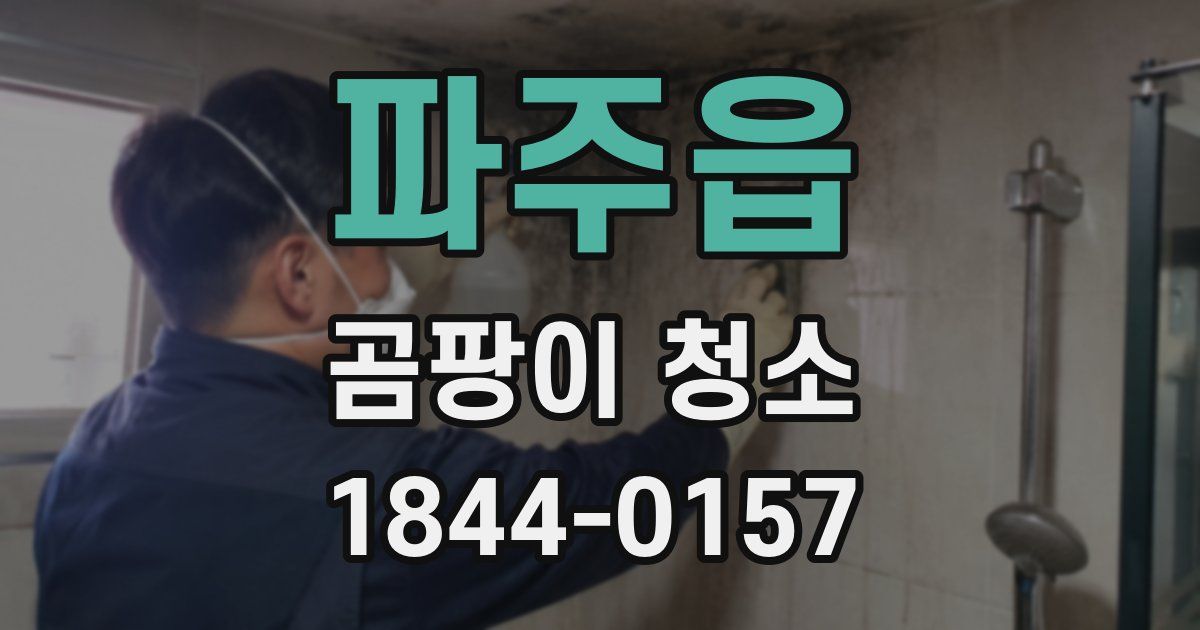 파주읍 곰팡이 청소