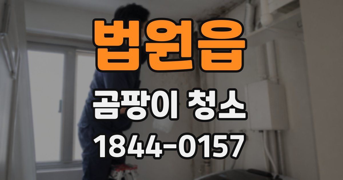 법원읍 곰팡이 청소