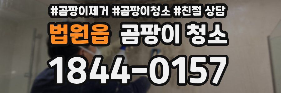 법원읍 곰팡이 청소
