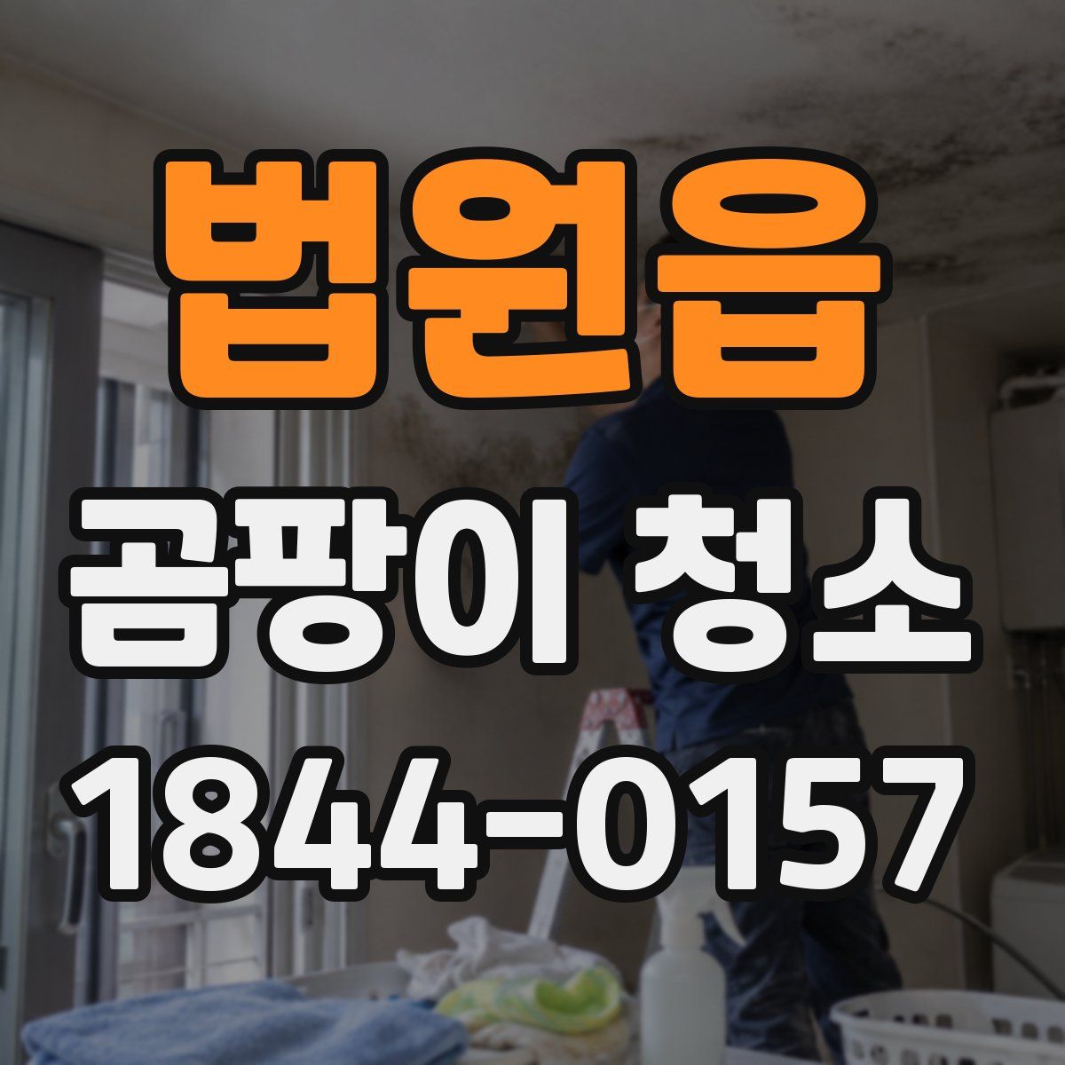 법원읍 곰팡이 청소