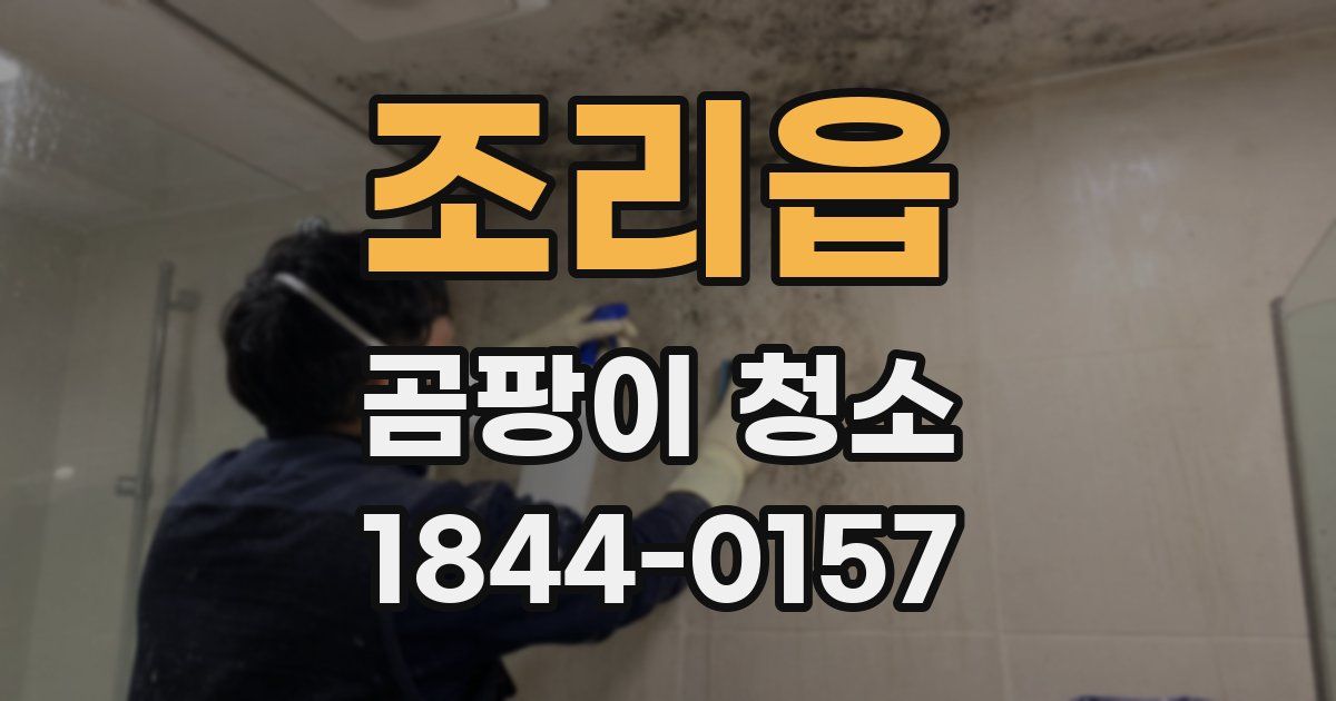 조리읍 곰팡이 청소