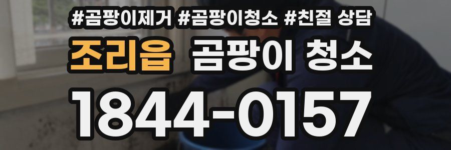 조리읍 곰팡이 청소