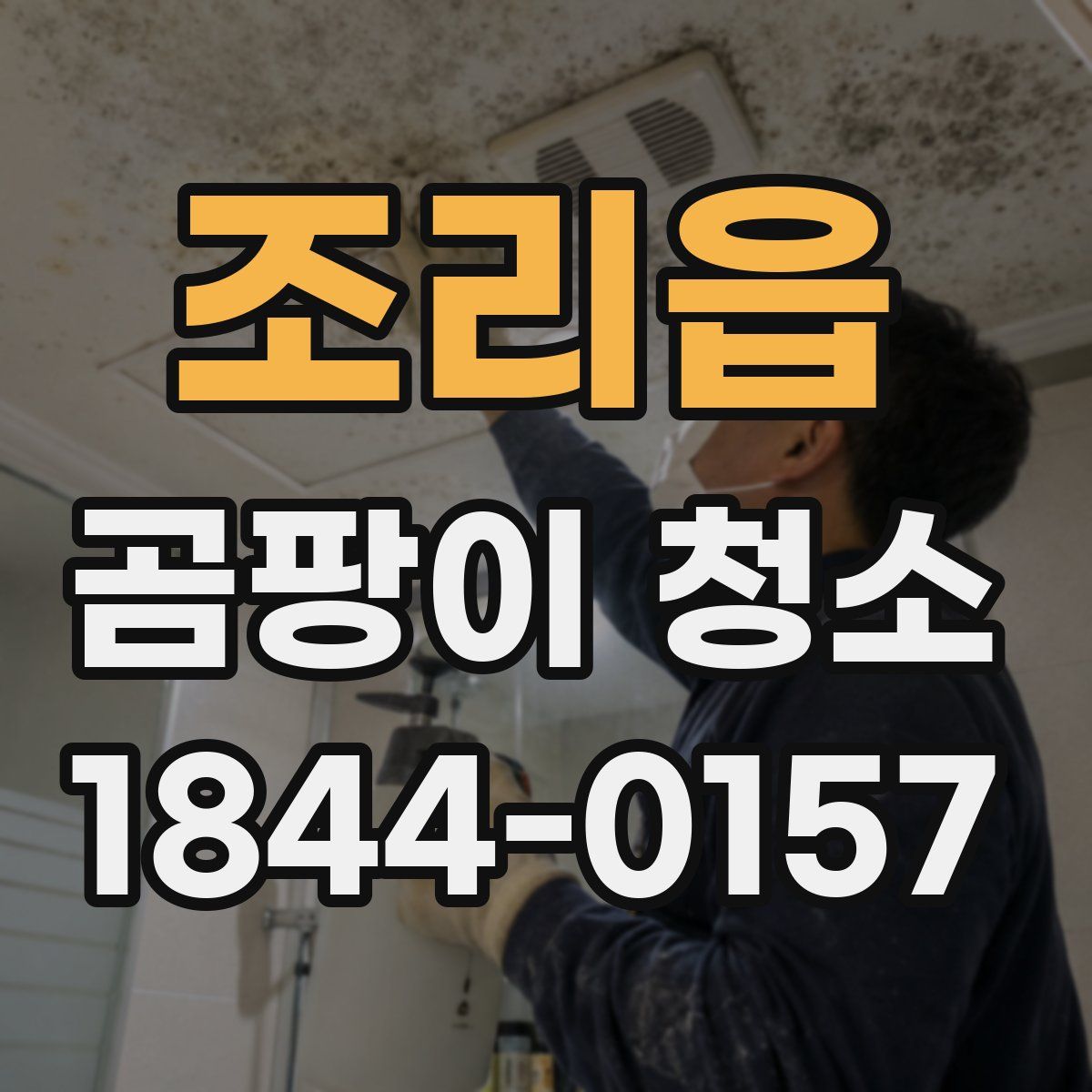 조리읍 곰팡이 청소