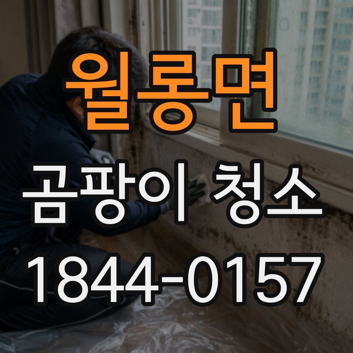 월롱면 곰팡이 청소