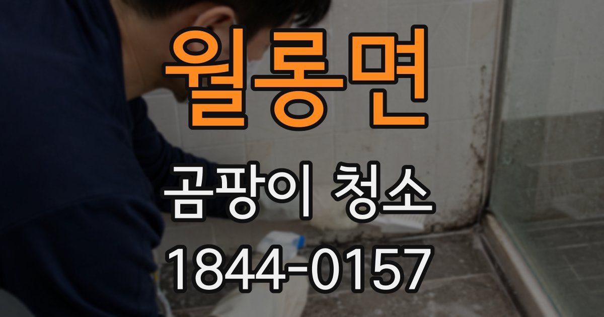 월롱면 곰팡이 청소