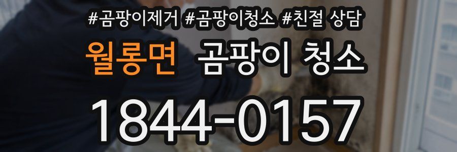월롱면 곰팡이 청소