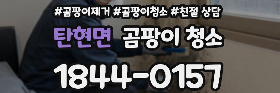탄현면 곰팡이 청소