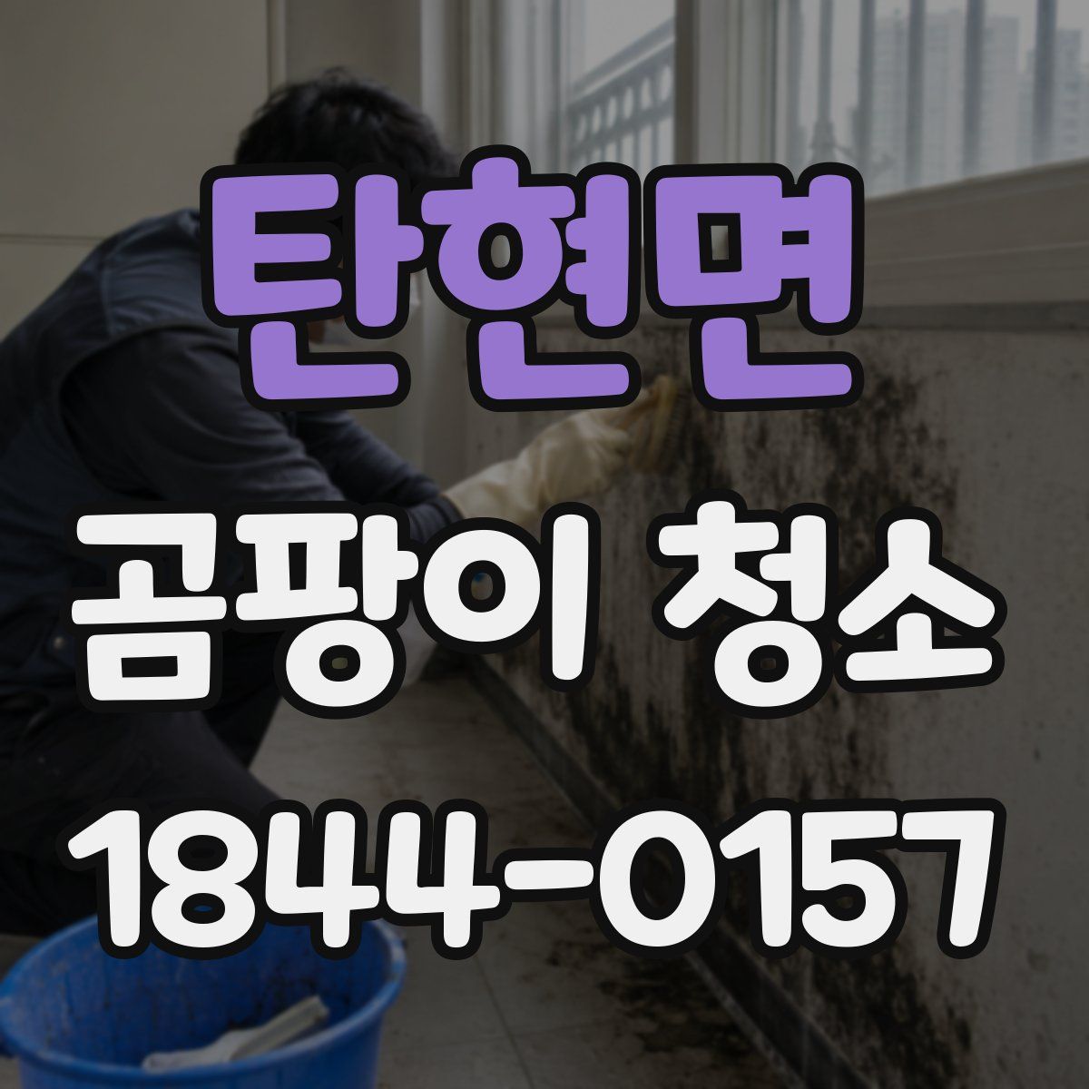탄현면 곰팡이 청소