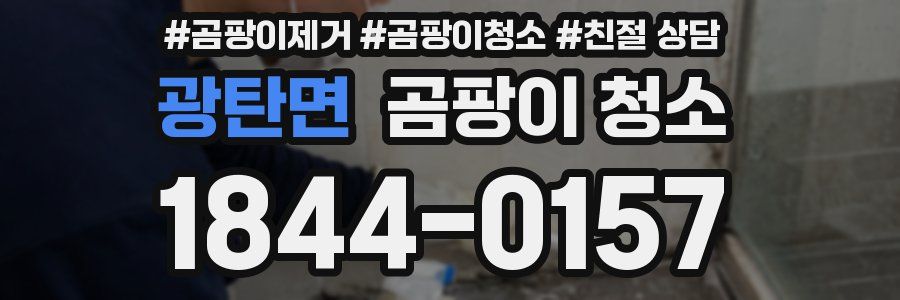 광탄면 곰팡이 청소