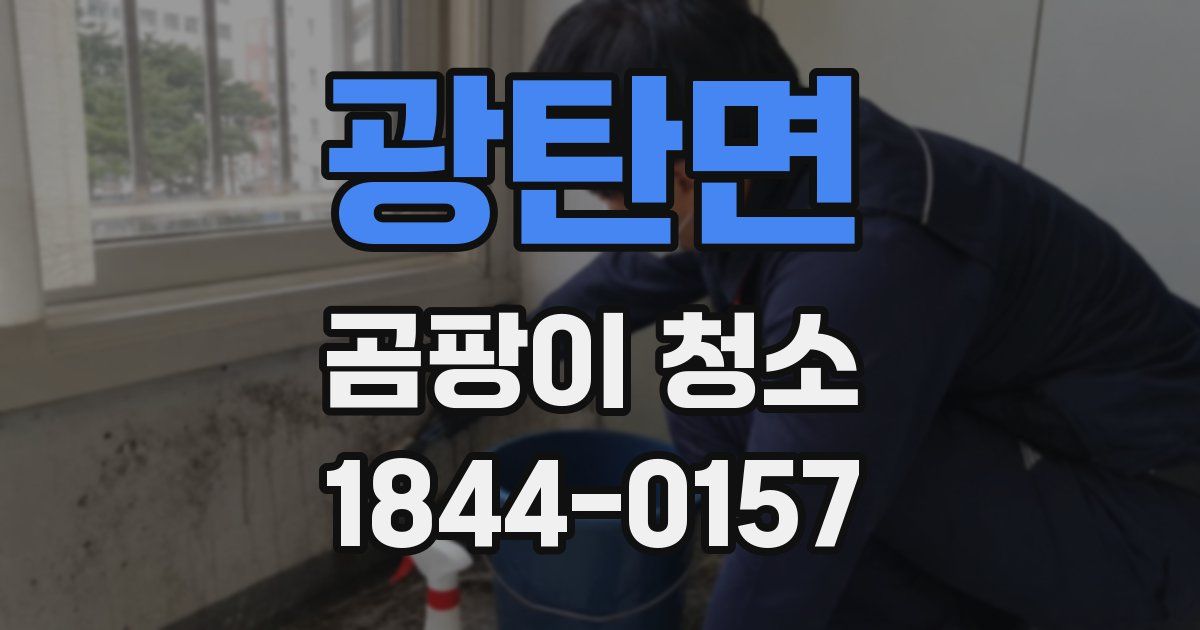 광탄면 곰팡이 청소