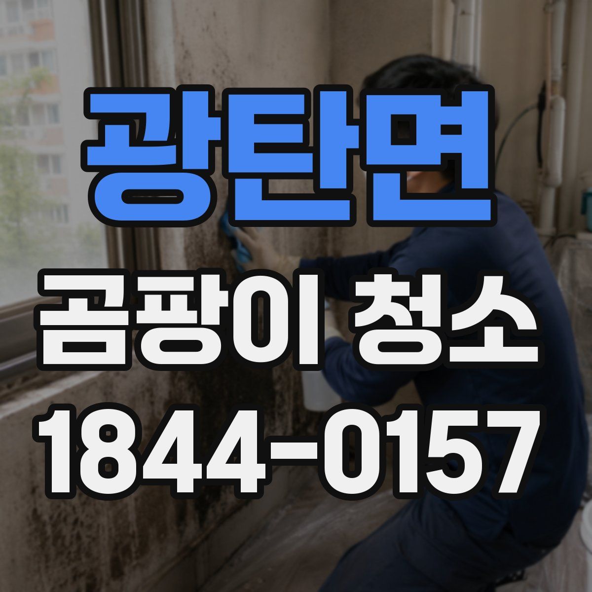 광탄면 곰팡이 청소