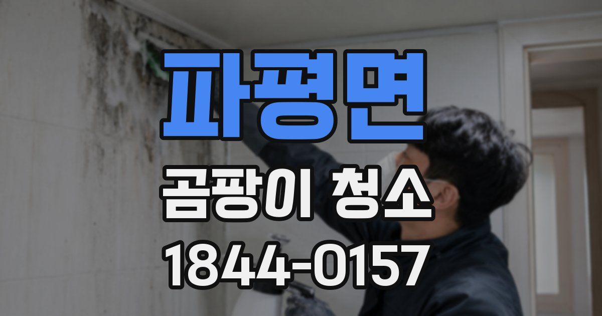파평면 곰팡이 청소