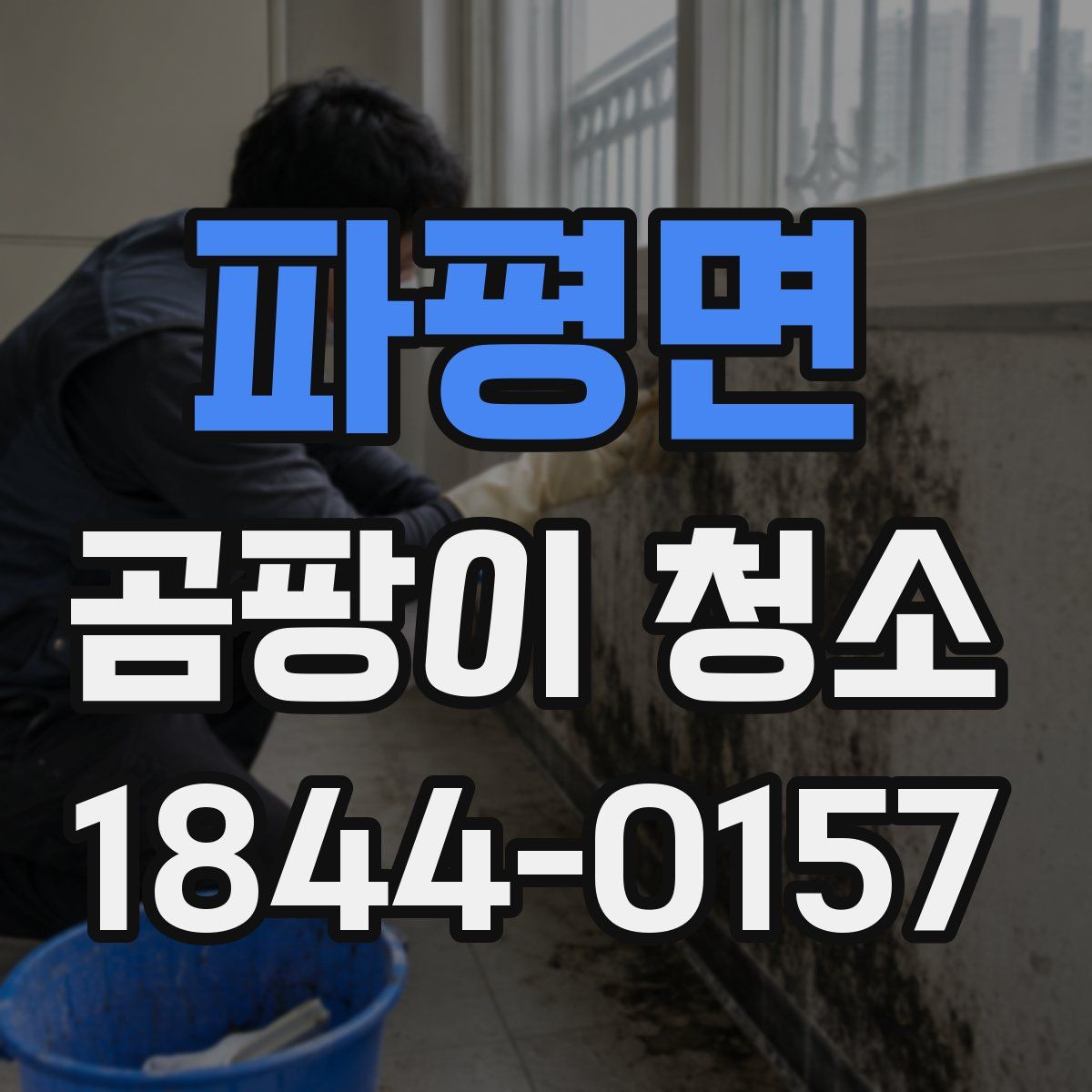 파평면 곰팡이 청소
