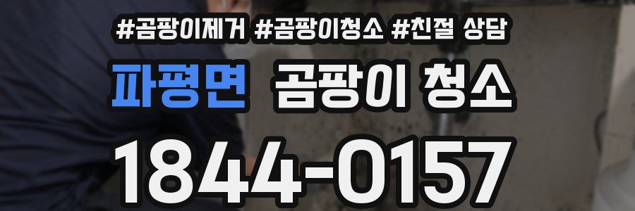 파평면 곰팡이 청소