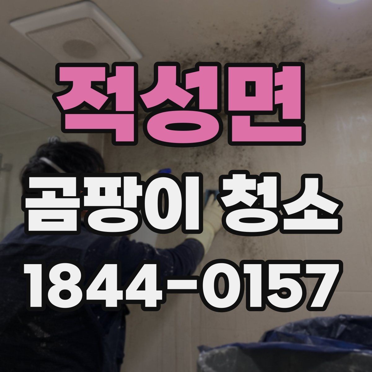 적성면 곰팡이 청소 후 마감 상태 확인하는 법