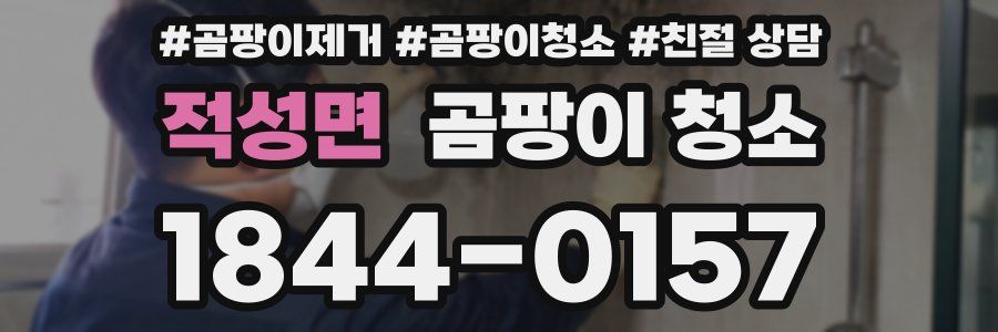 적성면 곰팡이 청소