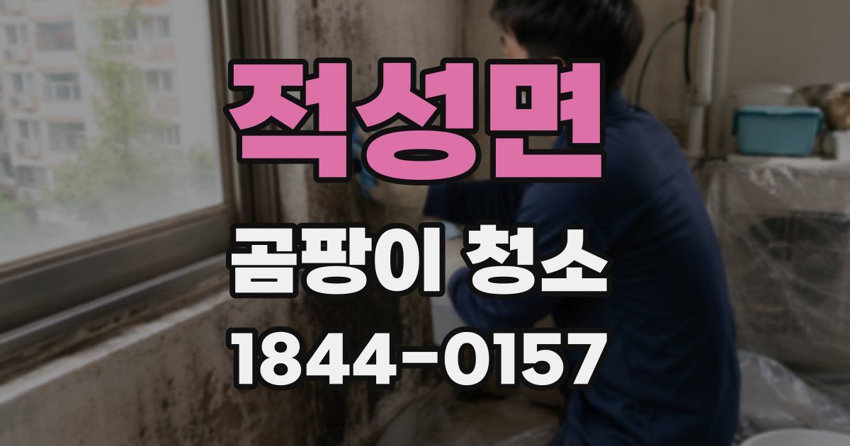 적성면 곰팡이 청소