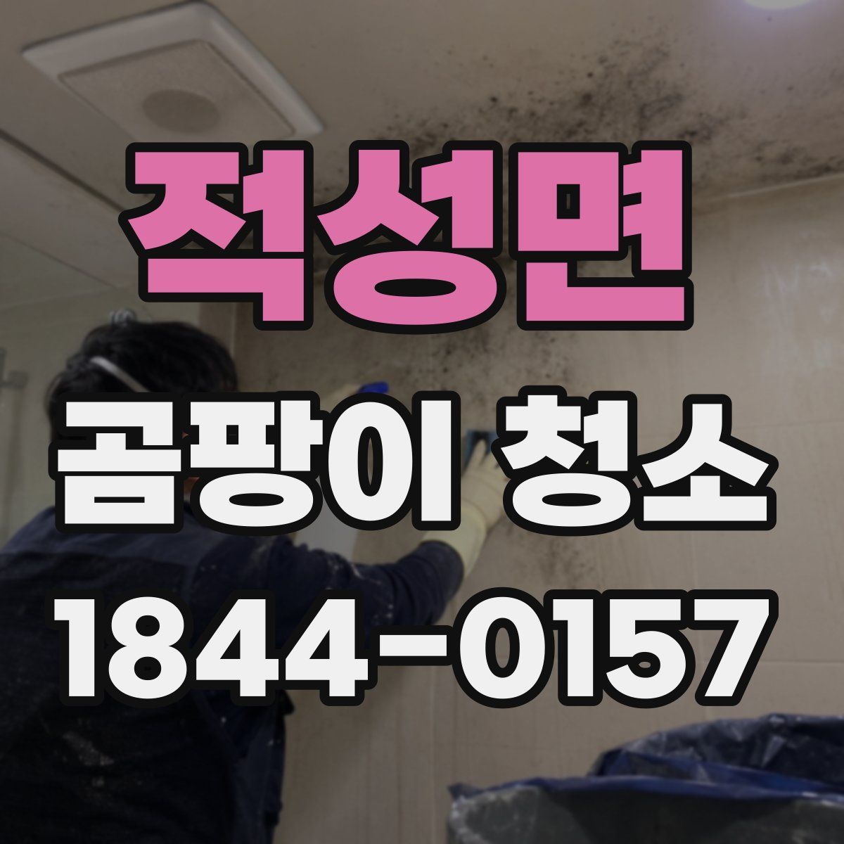 적성면 곰팡이 청소