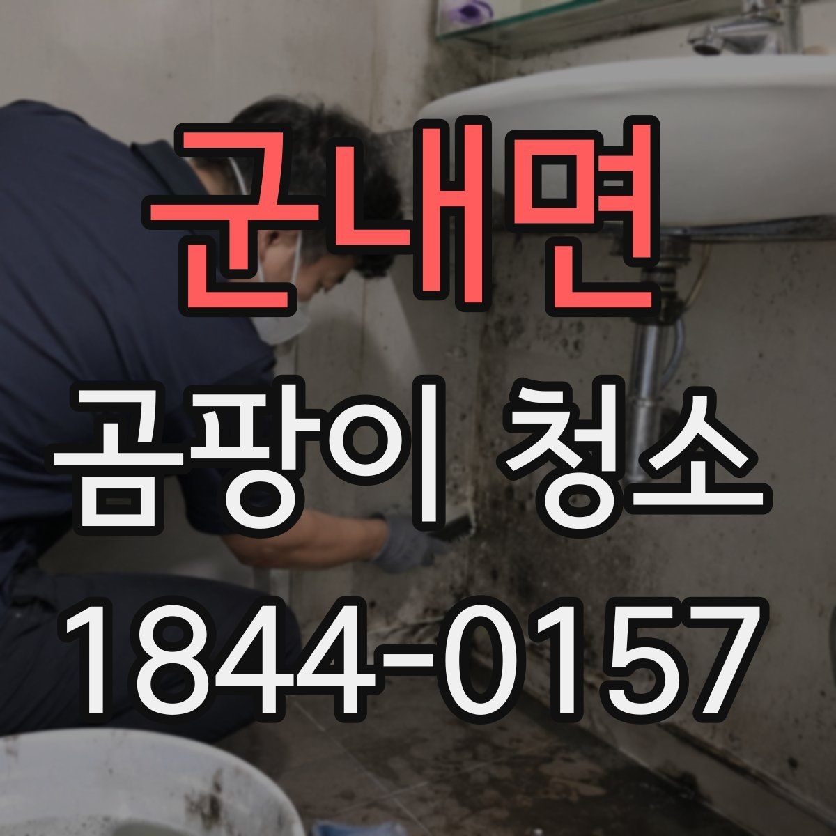 군내면 곰팡이 청소 시 약품 사용 시 주의할 점