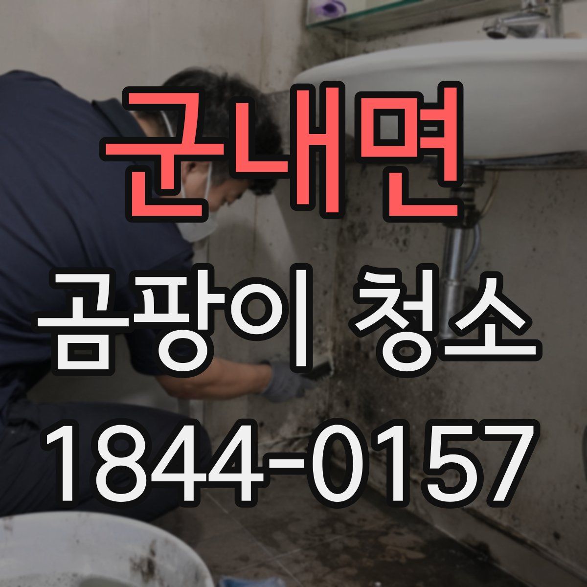 군내면 곰팡이 청소