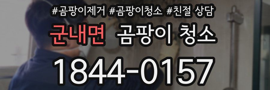 군내면 곰팡이 청소