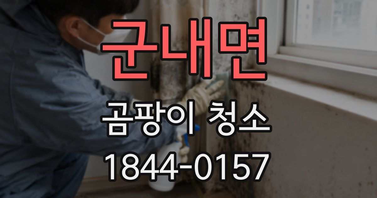 군내면 곰팡이 청소