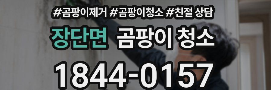 장단면 곰팡이 청소