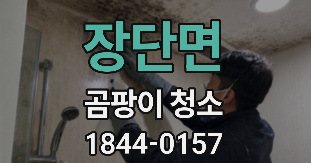 장단면 곰팡이 청소