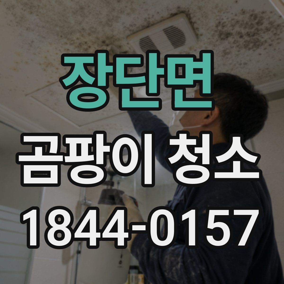 장단면 곰팡이 청소