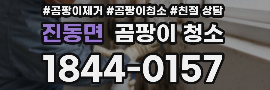 진동면 곰팡이 청소