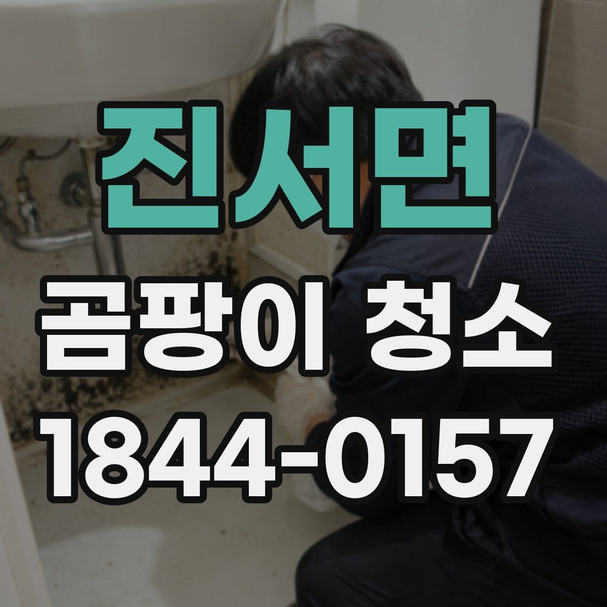 진서면 곰팡이 청소 시 벽지 손상 줄이는 방법