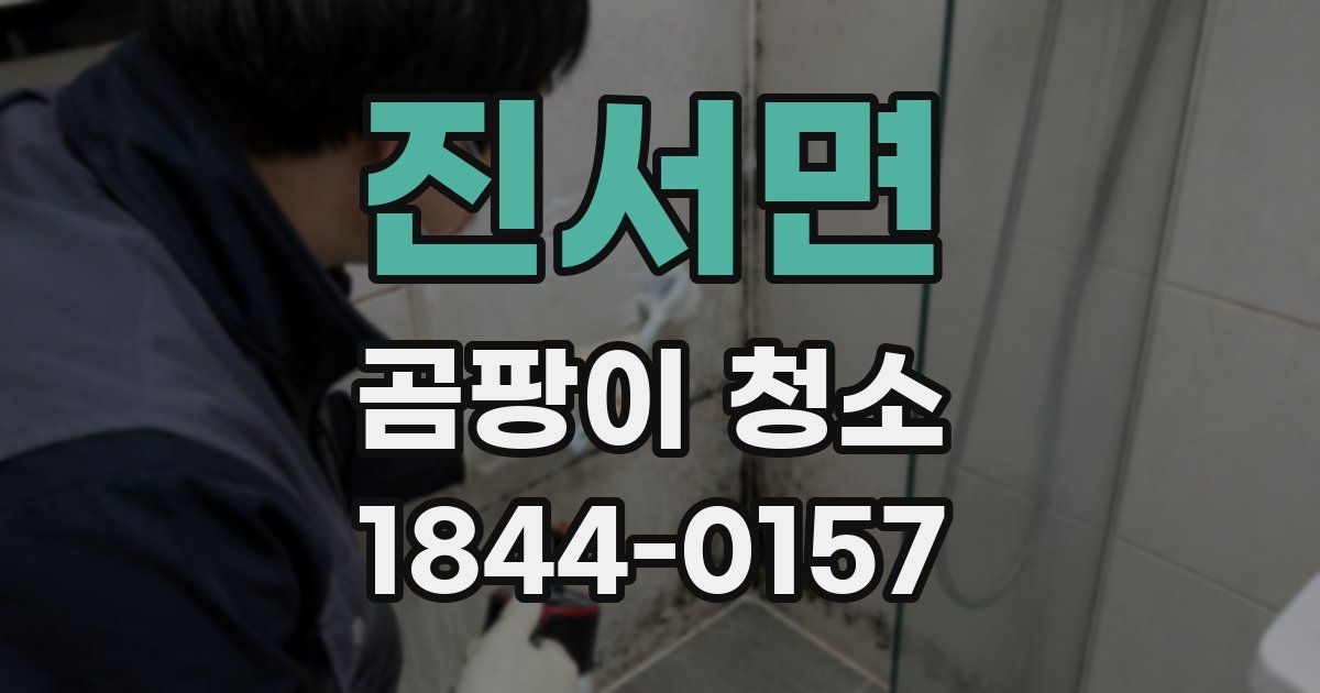진서면 곰팡이 청소