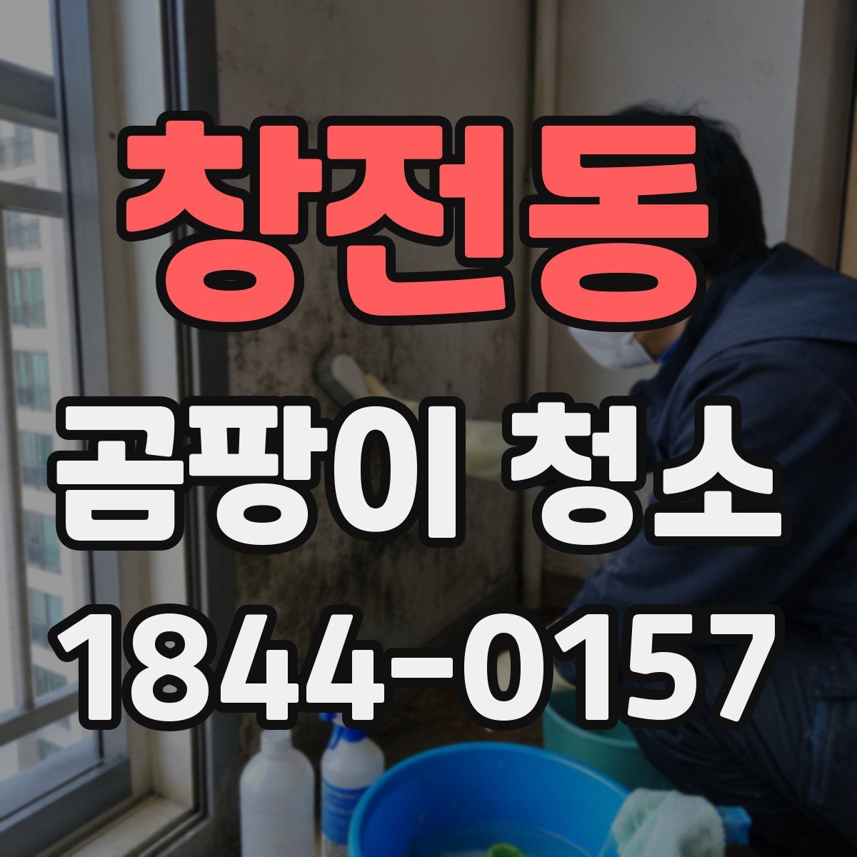 창전동 곰팡이 청소