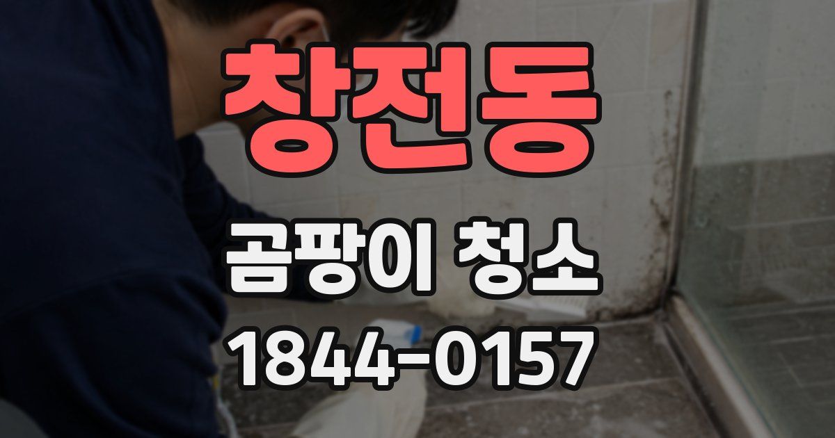 창전동 곰팡이 청소